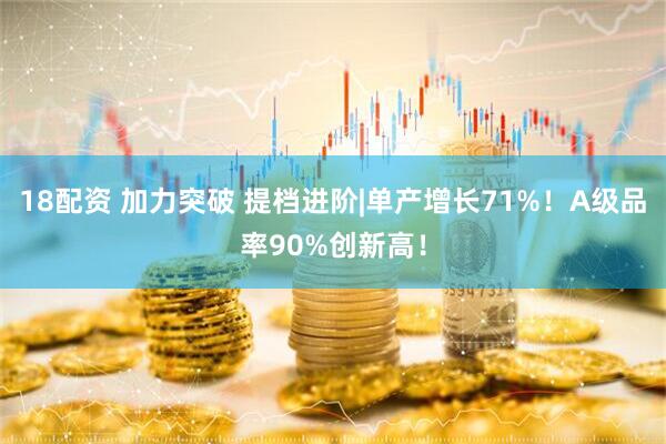 18配资 加力突破 提档进阶|单产增长71%！A级品率90%创新高！