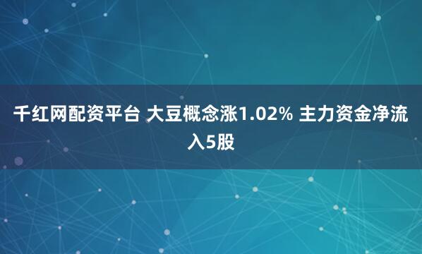 千红网配资平台 大豆概念涨1.02% 主力资金净流入5股