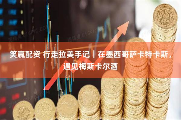 笑赢配资 行走拉美手记｜在墨西哥萨卡特卡斯，遇见梅斯卡尔酒