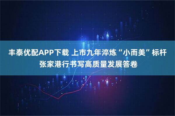 丰泰优配APP下载 上市九年淬炼“小而美”标杆 张家港行书写高质量发展答卷